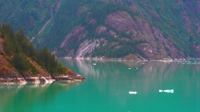 Small white ice floes drift on teal bay water beside forested rock cliffs in a remote northern inlet, Alaska, Canada