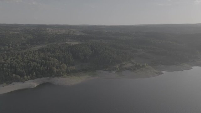 Lake view and forest