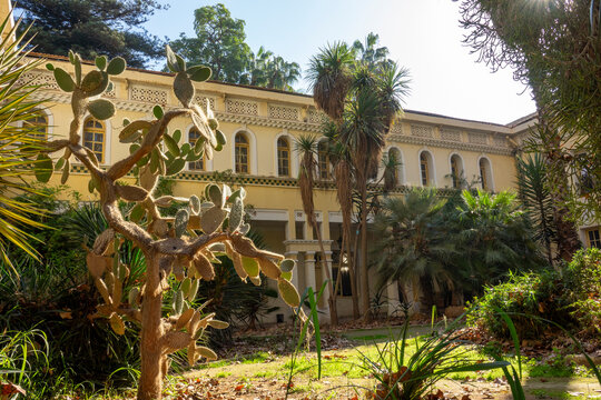 Cactus and yucca plants in front of a colonial-era building at Jardin d'Essai, North Africa, Algiers, Algeria