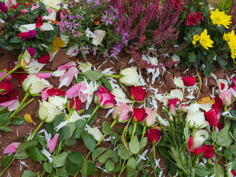 Verschiedene Blumen und Bl&uuml;ten roter Rosen, am Tag der Beisetzung am Grab nah bei Dir und Danke