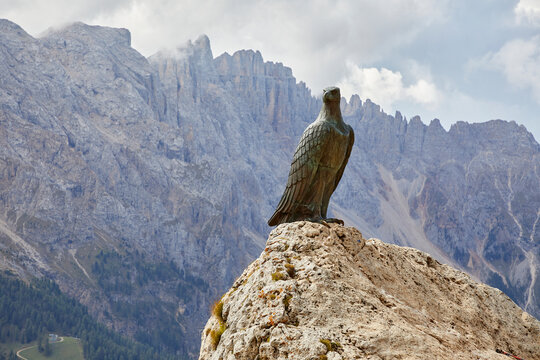 Adler in den Dolomiten
