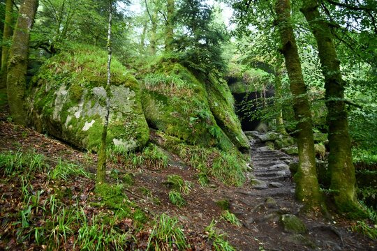 rochers en foret