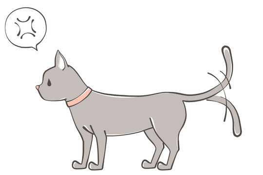怒ってしっぽをぶんぶん振っている猫のイラスト