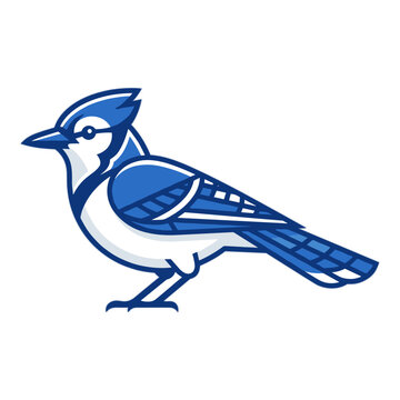 North American Blue Jay Bird Profile with Crest Flat Vector Illustration