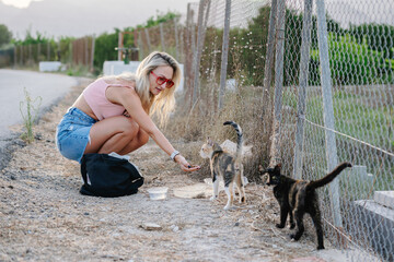 Woman feeding two stray cats. Kindness, care and compassion concept.