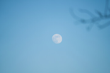 Daytime moon visible in a clear pale blue sky © Bambi and Sunny