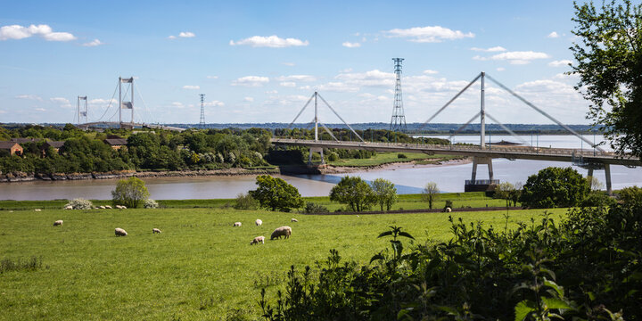 The Wye Bridge section of the M48 crossing above green fields with grazing livestock, Chepstow