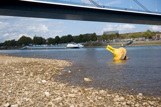 D&uuml;sseldorf, Germany, Low stream gauge of rhine river.Due to heat, drought, climate change and global warming plants are conquering the riverbed and ships can only operate with reduced cargo