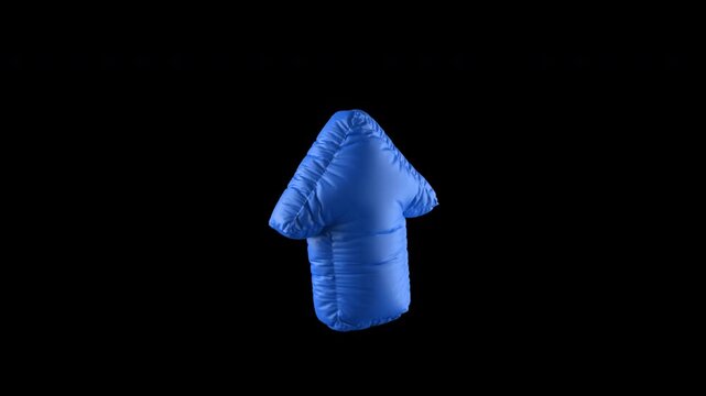 Blue Inflatable Arrow Icon 3D Loop