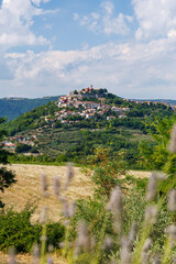 Fototapeta premium Medieval Motovun Hill Town Above Green Istrian Countryside
