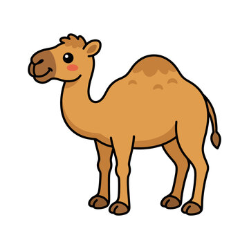Cartoon camel with hump on white background in side view.