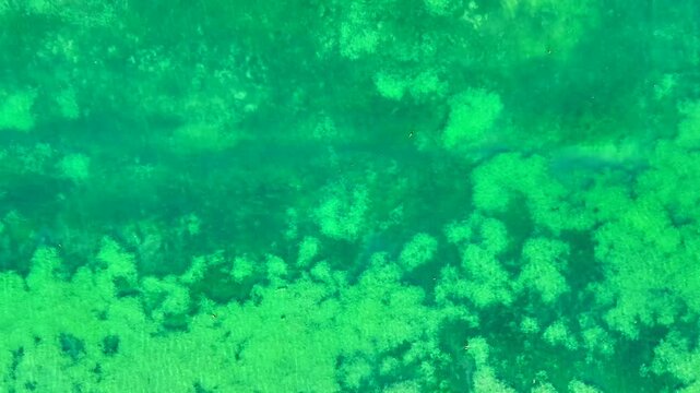 Drone Footage of Pristine Nature in Stoos Valley, Switzerland