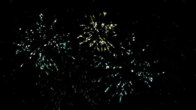 Exploding fireworks in dark night sky with subtle motion and bright bursts