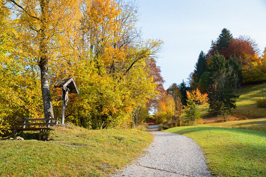 autumnal hiking trail from Garmisch to Wamberg. wayside cross and bench
