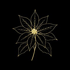 Obraz premium Elegant golden poinsettia illustration