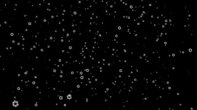 Snow falling transparent background, snow animation loop. snow flakes Isolated snowfall overlay.