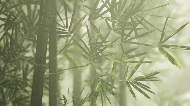 bamboo stalks misty forest morning light, dewy leaves and slender trunks create tranquil meditation retreat vibe with diffused sunbeams, soft shadows and humid