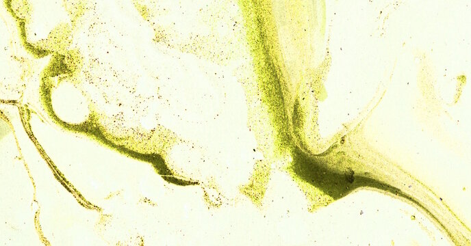Colorful Fluid Art Explosion in Abstract Brush Style