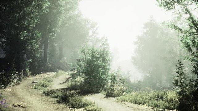 Sunlit woodland path at sunrise, wildflowers edging route, warm glare creating hopeful mood, inviting outdoor exploration and sustainable travel imagery.