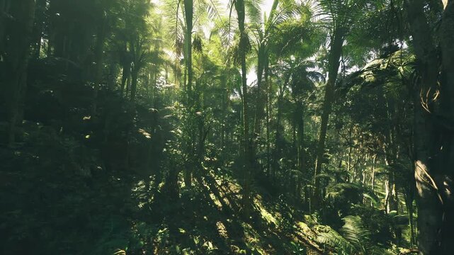 Hidden valley understory with streaming light and dense vine curtains, immersive green textures and layered depth, suitable for travel campaigns and immersive