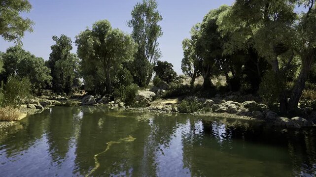 Clear pond with visible rocks and reflections, transparent water reveals pebbles and depth, bright sky and leafy bank create crisp nature study