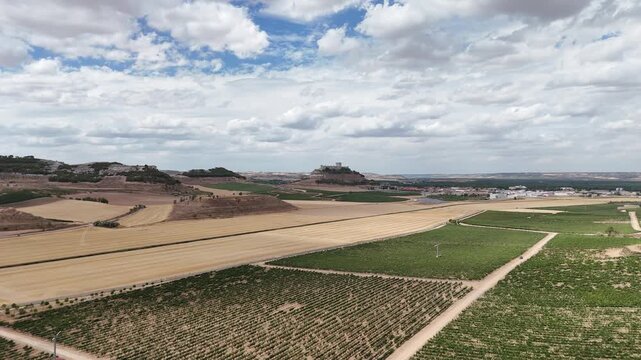 Drone Flight Over Ribera del Duero Vineyards Near Pe&ntilde;afiel, Spain