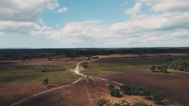 Aerial view of heathland in New Forest National Park, UK