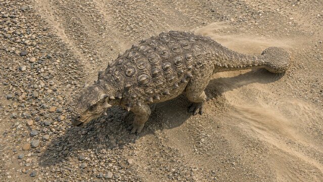 Armored Ankylosaurus Dinosaur Walking on Sunlit Sand and Gravel