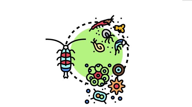 Marine plankton innovation developing within a conceptual scientific framework, showcasing various microorganisms and their potential for advancing modern ecological research and biotechnology
