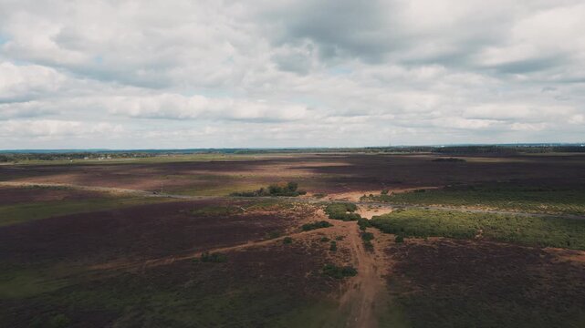 Aerial view of heathland in New Forest National Park, UK