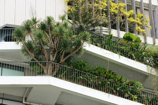 Green eco architecture concept with tropical plants and trees growing on modern building concrete terraces and balconies