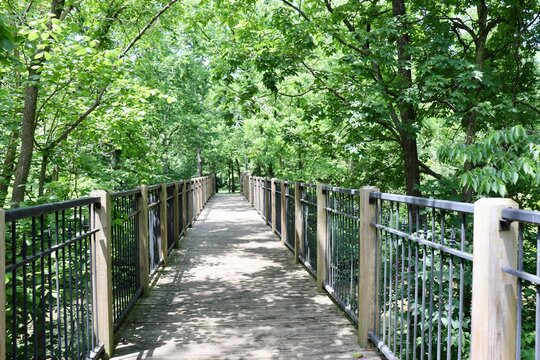 The long walkway footbridge in the park.
