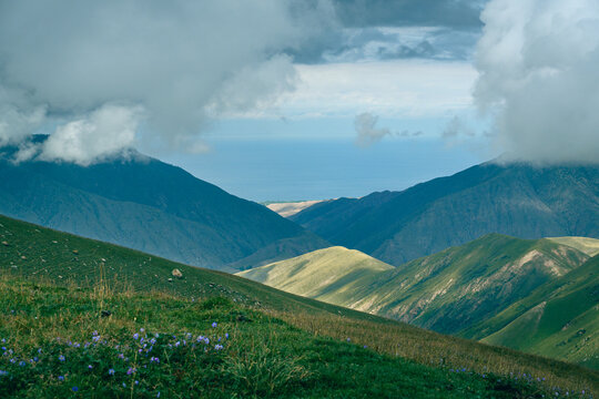 Lush hills roll beneath a soft, cloudy sky. Green slopes curve toward distant, misty peaks. Wildflowers dot the grassy foreground. Vibrant colors contrast with serene, muted tones