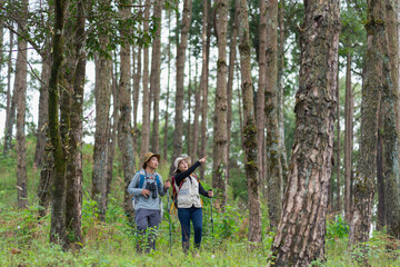 Fototapeta premium A hiker gestures excitedly, sharing a discovery with her partner
