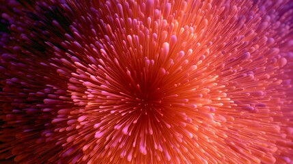 Fototapeta premium Vibrant abstract radial explosion of pink, red, purple and orange particle tendrils radiating from the center in a textured, immersive digital 3D-style art composition