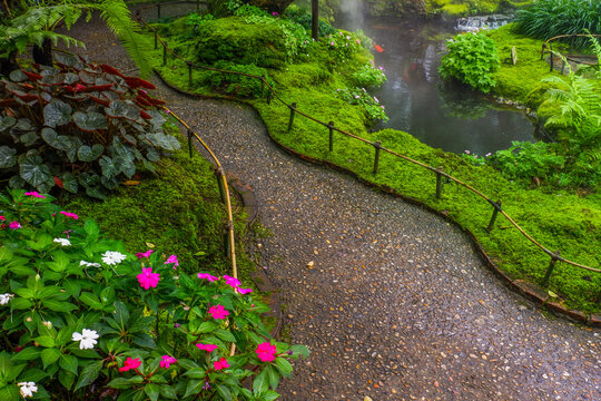 Pathway in forest garden and footpath,Tranquil river scene with mossy rocks,nature rainforest,Waterfall in Garden landscape design space for text.