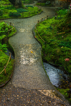 Pathway in forest garden and footpath,Tranquil river scene with mossy rocks,nature rainforest,Waterfall in Garden landscape design space for text.
