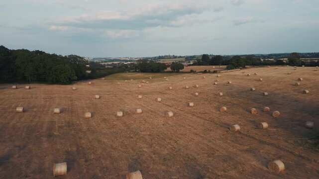 Aerial view of hay bales in field