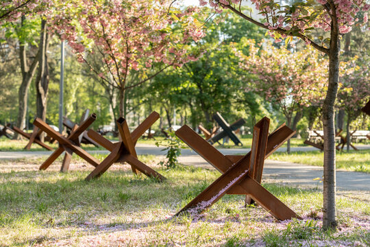 Anti Tank Obstacles Beneath Cherry Trees
