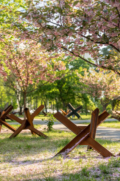 Spring Park With Wartime Defense Obstacles