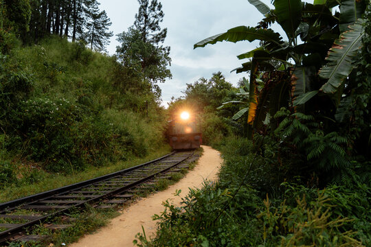 Train Travels Along a Narrow Path Through Green Vegetation