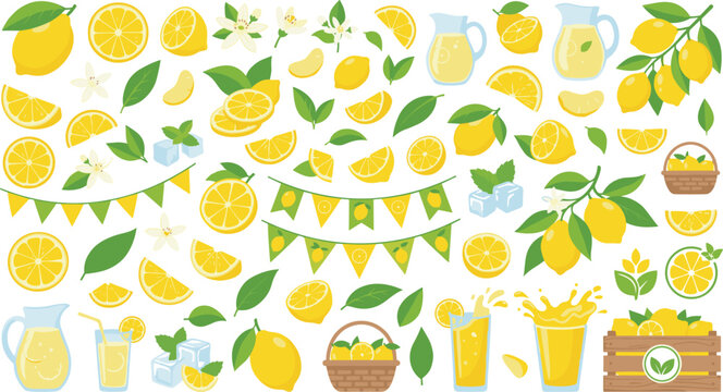 Fresh yellow lemons and summer lemonade vector elements bundle featuring whole citrus fruit slices green leaves juice pitchers baskets party bunting and refreshing drinks illustration