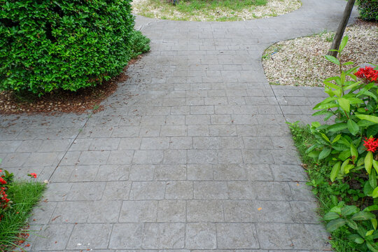 Garden landscape design with pathway in garden and footpath in picturesque summer park and staircase in backyard,Paving stones on floor in park,space for text.