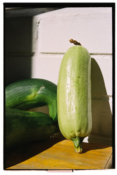 Fresh Green Zucchini Displayed in Sunlight on Rustic Table