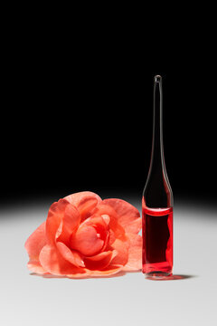 Camellia and a test tube with red liquid are on display.