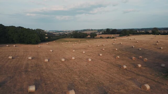 Aerial view of hay bales in field