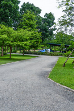 Empty Road in countryside,beautiful street in farm,nature rural road going through summer landscape,Nature background,route through wild landscape.