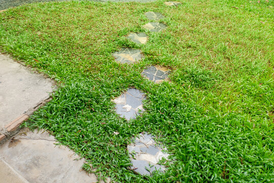 Garden landscape design with pathway in garden and footpath in picturesque summer park and staircase in backyard,Paving stones on floor in park,space for text.