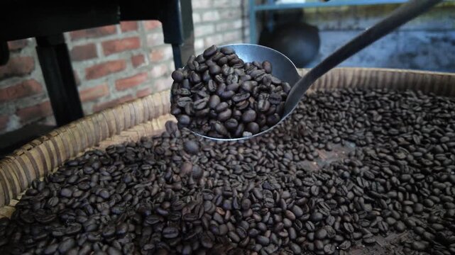 Scooping dark roasted coffee beans.