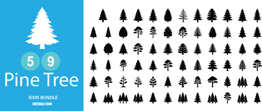 Collection of fifty nine black pine tree silhouettes isolated on a white background